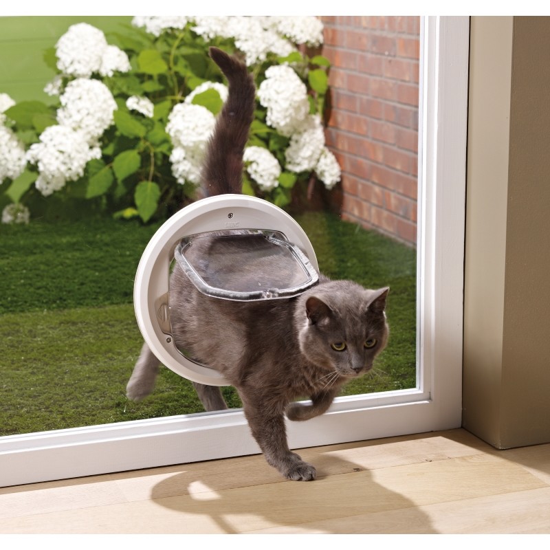 forare il vetro per gattaiola