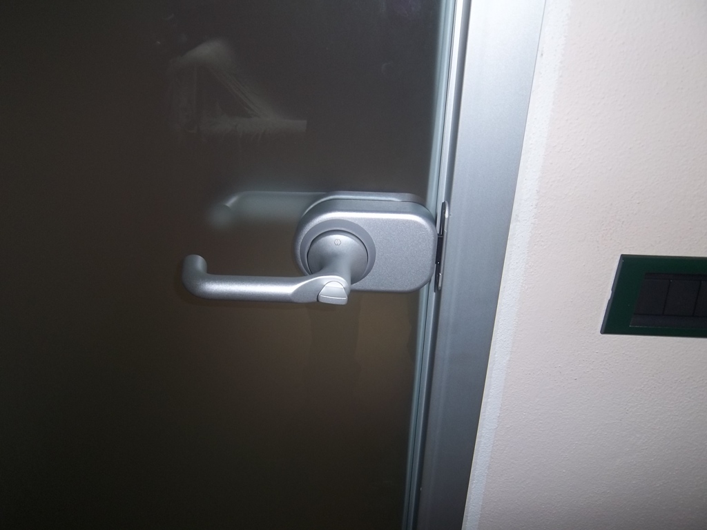 porta in vetro satinato