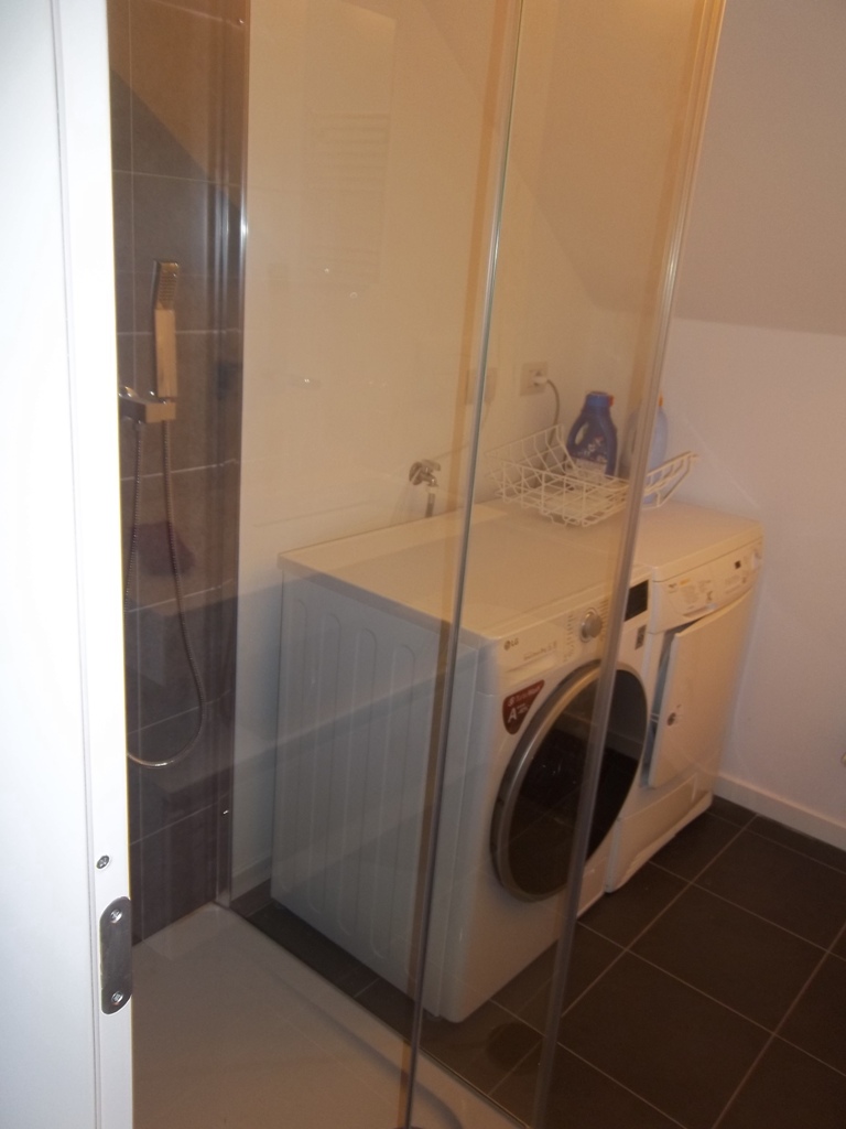 normale la lavatrice vicino a vista in bagno