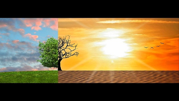 il cambiamento climatico è evidente