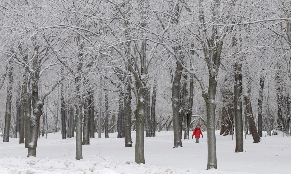 inverno-2016-05-1000x600