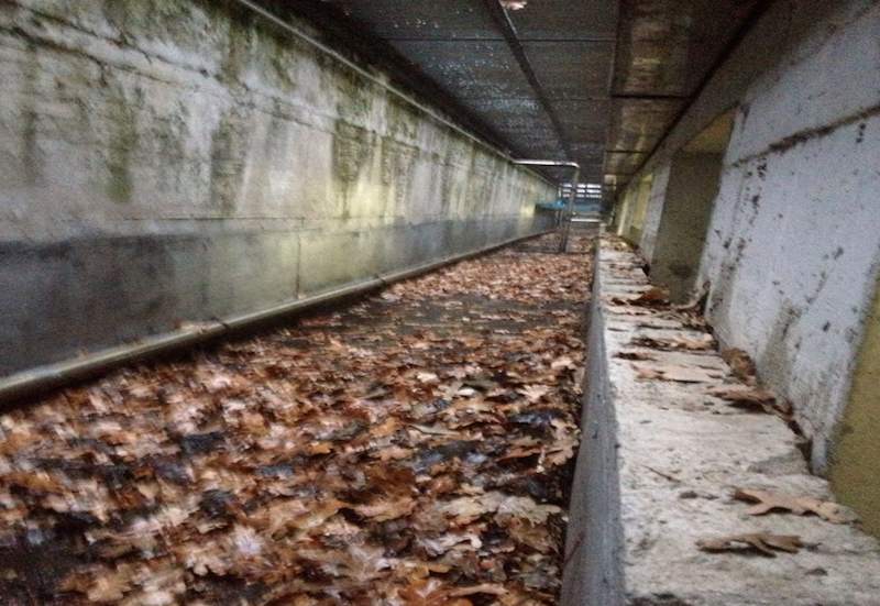 Intercapedini-cavedi-griglie-e-bocche-di-lupo-in-ordine