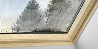 VETRO DOPPIO FINESTRA VELUX CON CONDENZA