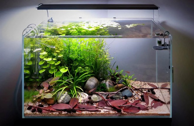 acquario con sistema tradizionale a incollaggio con silicone