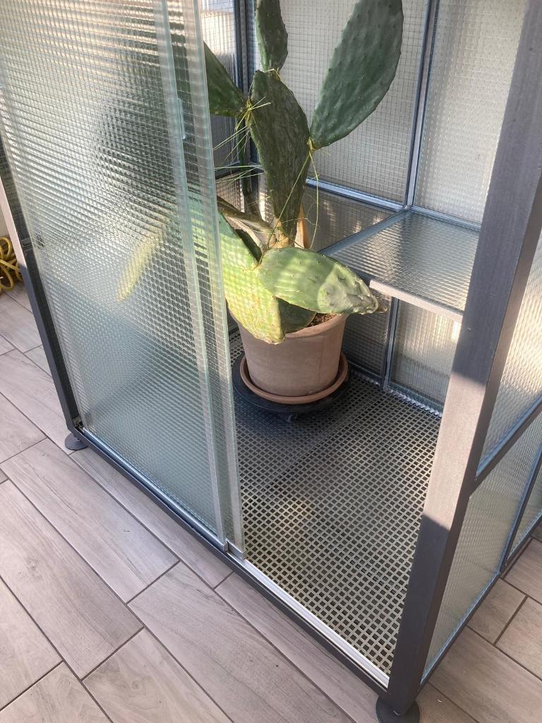 particolare del pavimento della serra in vetro fatto con lamiera in acciaio preforato