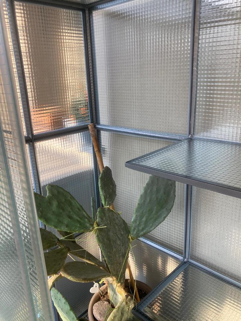 particolare delle mensole in vetro della serrra in vetro